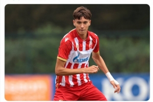 德天空：德甲俱乐部关注红星16岁前锋达姆贾诺维奇