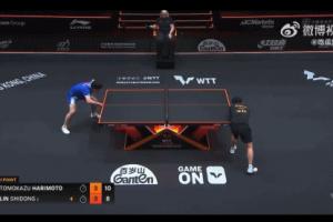 3次致敬小胖！张本进决赛后再次模仿樊振东庆祝 曾称樊振东是榜样