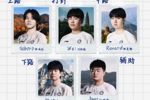 IG公布德玛西亚杯出战名单：打野Wei下路Photic+Jwei Rookie休战