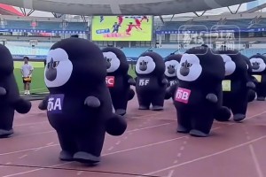 萌力全开！动物界“顶流男明星”杜杜，现身苏超南京主场彩排现场