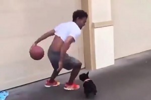 特雷杨以后的垃圾话：你还没狗防的好！