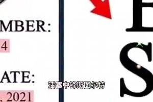 吃黑流量？再次打架被禁赛的斯图尔特，当年猛冲老詹后注册了商标